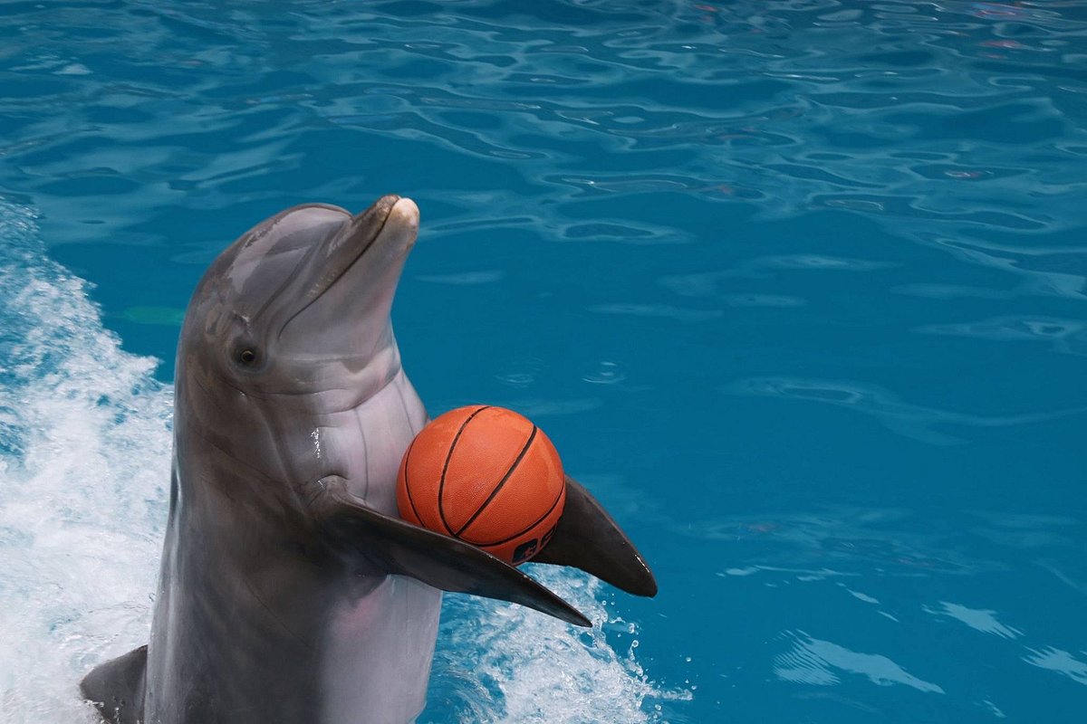 Gulf World Marine Park